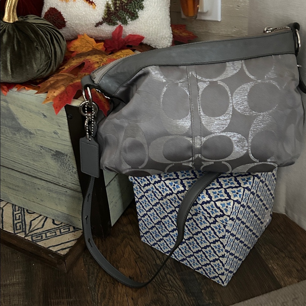 Coach Gray Women's Shoulder Bag
